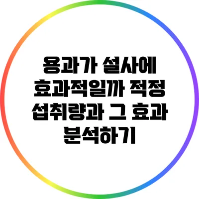 용과가 설사에 효과적일까? 적정 섭취량과 그 효과 분석하기