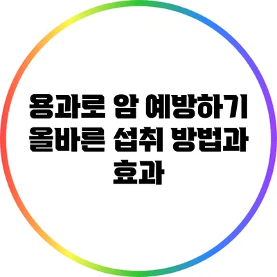 용과로 암 예방하기: 올바른 섭취 방법과 효과