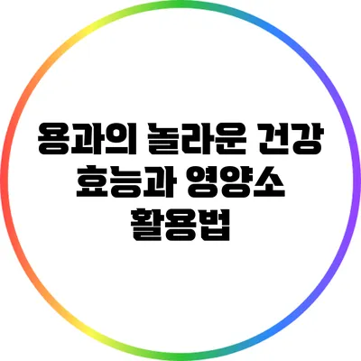 용과의 놀라운 건강 효능과 영양소 활용법