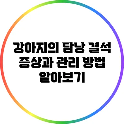 강아지의 담낭 결석: 증상과 관리 방법 알아보기