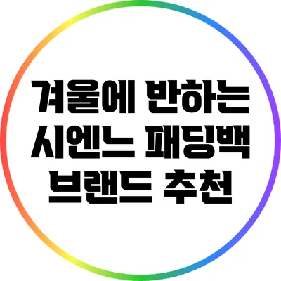 겨울에 반하는 시엔느 패딩백 브랜드 추천