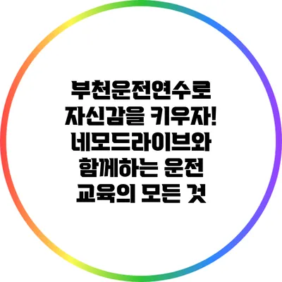 부천운전연수로 자신감을 키우자! 네모드라이브와 함께하는 운전 교육의 모든 것