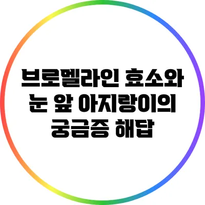 브로멜라인 효소와 눈 앞 아지랑이의 궁금증 해답