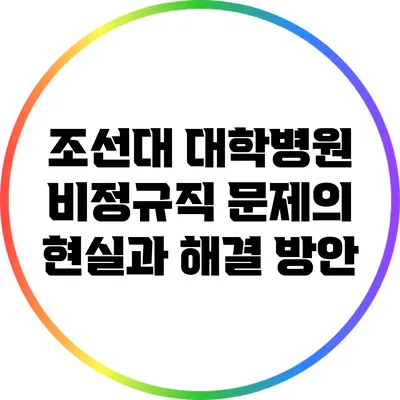 조선대 대학병원 비정규직 문제의 현실과 해결 방안