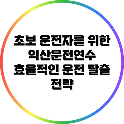 초보 운전자를 위한 익산운전연수: 효율적인 운전 탈출 전략