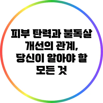 피부 탄력과 불독살 개선의 관계, 당신이 알아야 할 모든 것