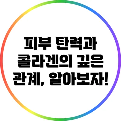 피부 탄력과 콜라겐의 깊은 관계, 알아보자!