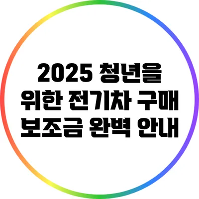 2025 청년을 위한 전기차 구매 보조금 완벽 안내