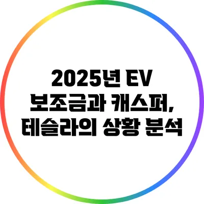 2025년 EV 보조금과 캐스퍼, 테슬라의 상황 분석