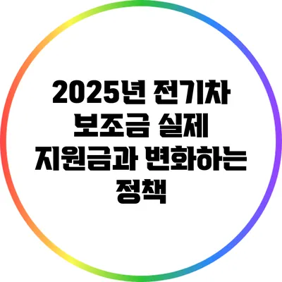2025년 전기차 보조금: 실제 지원금과 변화하는 정책
