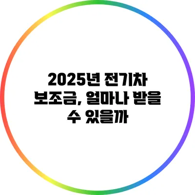 2025년 전기차 보조금, 얼마나 받을 수 있을까?
