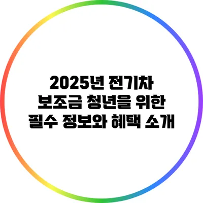 2025년 전기차 보조금: 청년을 위한 필수 정보와 혜택 소개