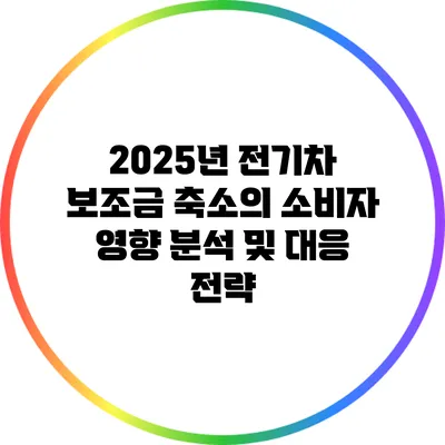 2025년 전기차 보조금 축소의 소비자 영향 분석 및 대응 전략