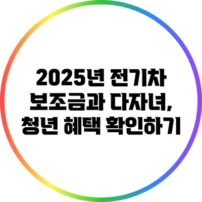 2025년 전기차 보조금과 다자녀, 청년 혜택 확인하기