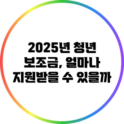 2025년 청년 보조금, 얼마나 지원받을 수 있을까?