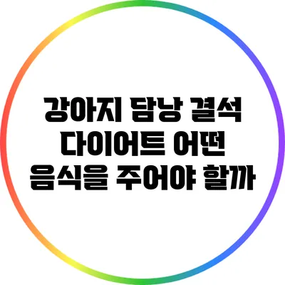 강아지 담낭 결석 다이어트: 어떤 음식을 주어야 할까?