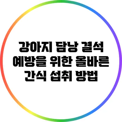 강아지 담낭 결석 예방을 위한 올바른 간식 섭취 방법