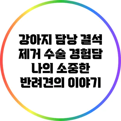 강아지 담낭 결석 제거 수술 경험담: 나의 소중한 반려견의 이야기