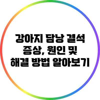 강아지 담낭 결석: 증상, 원인 및 해결 방법 알아보기