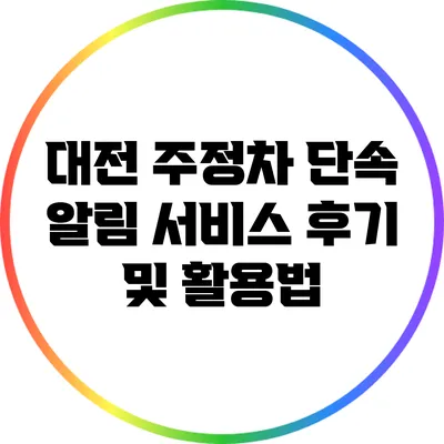 대전 주정차 단속 알림 서비스 후기 및 활용법