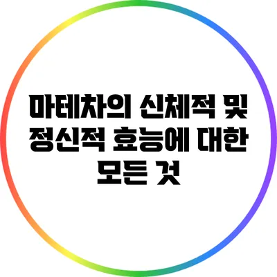 마테차의 신체적 및 정신적 효능에 대한 모든 것