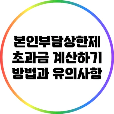 본인부담상한제 초과금 계산하기: 방법과 유의사항