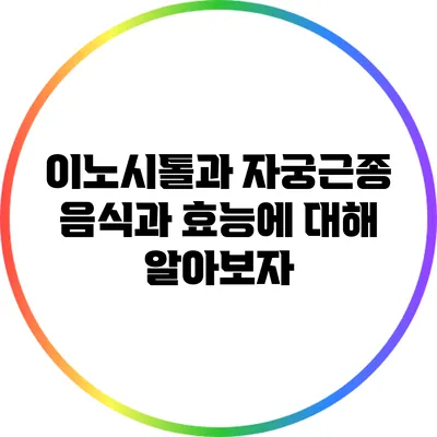 이노시톨과 자궁근종: 음식과 효능에 대해 알아보자