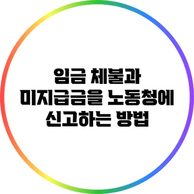 임금 체불과 미지급금을 노동청에 신고하는 방법