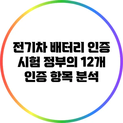 전기차 배터리 인증 시험: 정부의 12개 인증 항목 분석