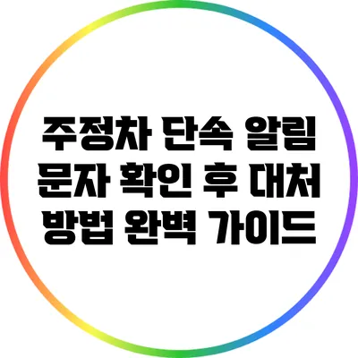 주정차 단속 알림 문자 확인 후 대처 방법 완벽 가이드