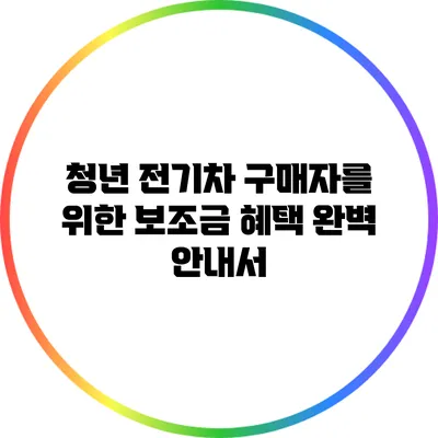 청년 전기차 구매자를 위한 보조금 혜택 완벽 안내서