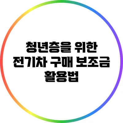 청년층을 위한 전기차 구매 보조금 활용법