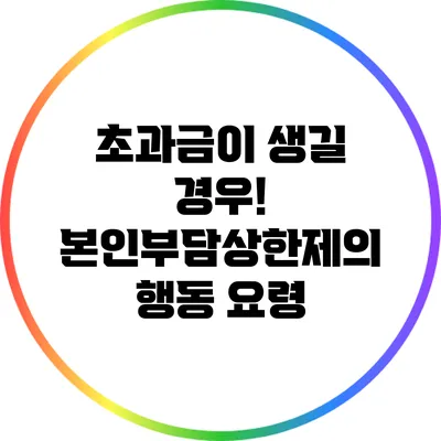 초과금이 생길 경우! 본인부담상한제의 행동 요령