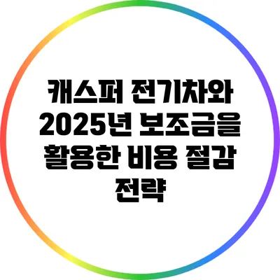 캐스퍼 전기차와 2025년 보조금을 활용한 비용 절감 전략