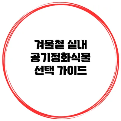 겨울철 실내 공기정화식물 선택 가이드