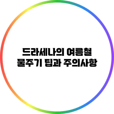 드라세나의 여름철 물주기 팁과 주의사항