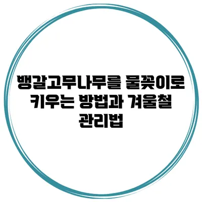뱅갈고무나무를 물꽂이로 키우는 방법과 겨울철 관리법