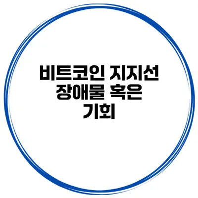 비트코인 지지선 장애물 혹은 기회?