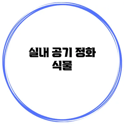 실내 공기 정화 식물