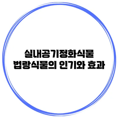 실내공기정화식물 법랑식물의 인기와 효과