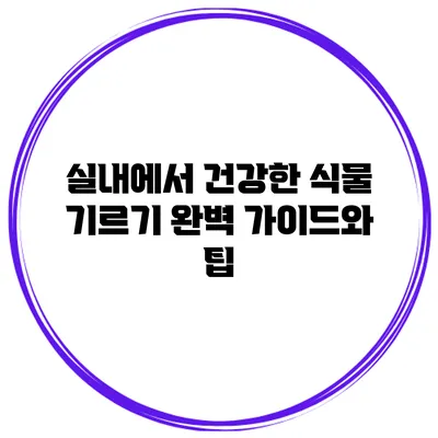 실내에서 건강한 식물 기르기: 완벽 가이드와 팁