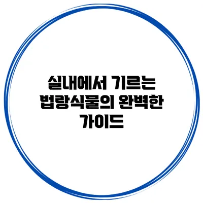 실내에서 기르는 법랑식물의 완벽한 가이드