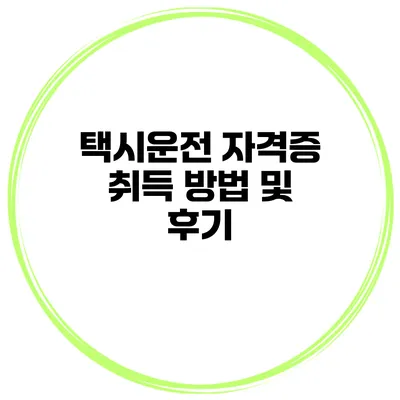 택시운전 자격증 취득 방법 및 후기