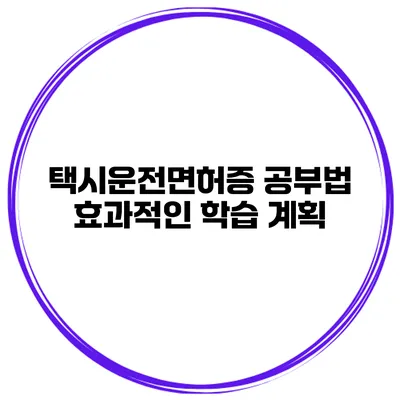 택시운전면허증 공부법 효과적인 학습 계획