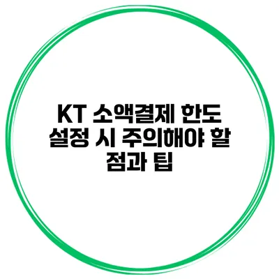 KT 소액결제 한도 설정 시 주의해야 할 점과 팁