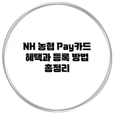 NH 농협 Pay카드 혜택과 등록 방법 총정리