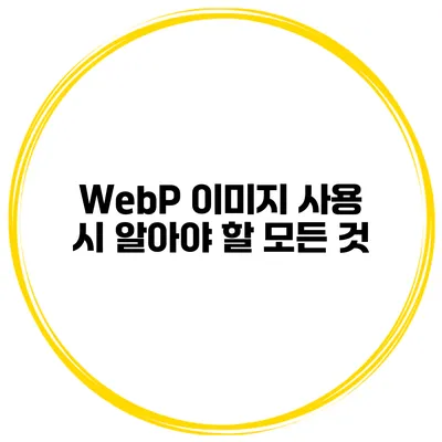 WebP 이미지 사용 시 알아야 할 모든 것