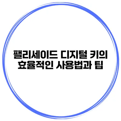 팰리세이드 디지털 키의 효율적인 사용법과 팁